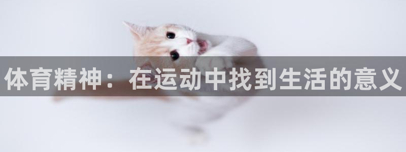 vsport体育官方正版app五金厂