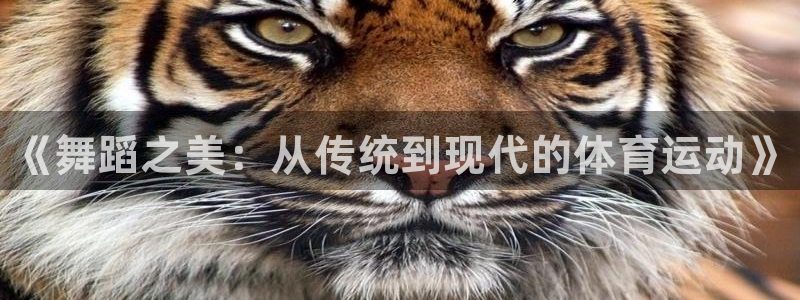 vsport体育官网下载平台是正规平台吗安全吗：《舞