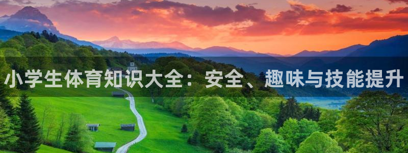 vsport体育官网下载平台APP：小学生体育知识大