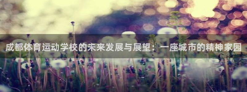 vsport体育官网下载招商电话地址查询：成都体育运