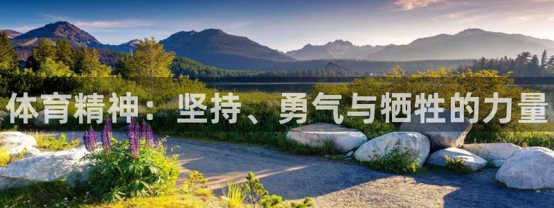 vsport体育官方正版app新能源：体育精神：坚持、勇气与