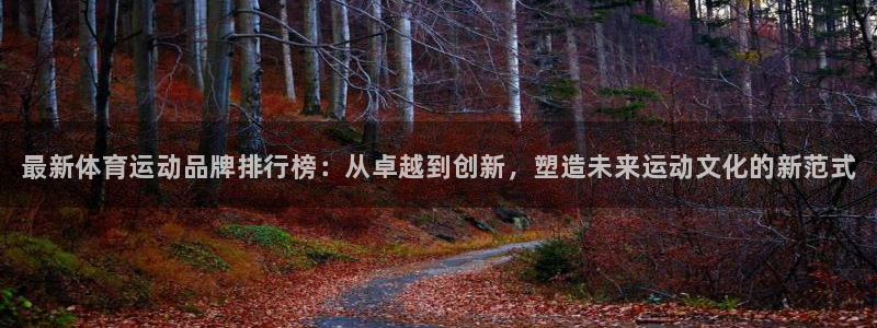 vsport体育官网下载是干嘛的公司：最新体育运动品牌排行榜