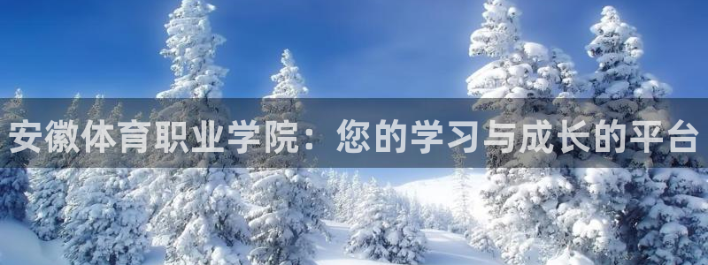 vsport体育官网下载平台注册：安徽体育职业学院：