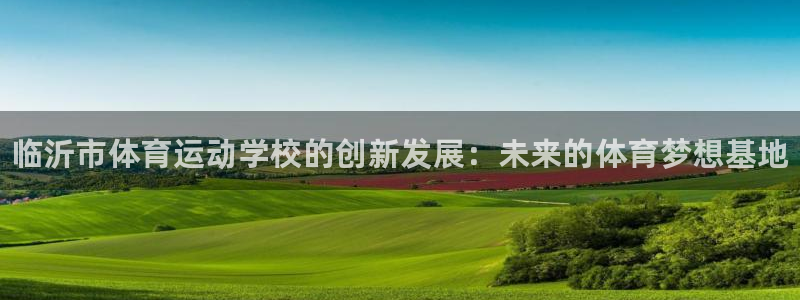 vsport体育官网下载招商电话是多少号码：临沂市体