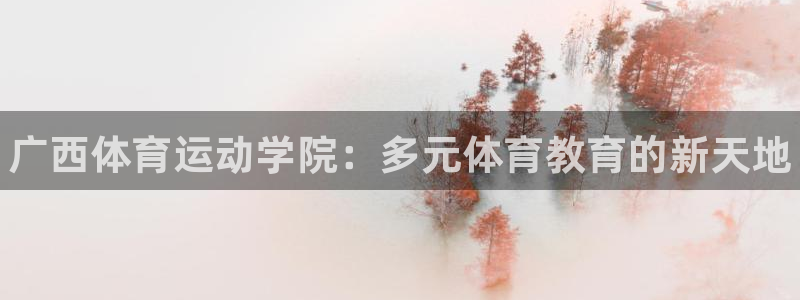 vsport体育官方正版app代理：广西体育运动学院