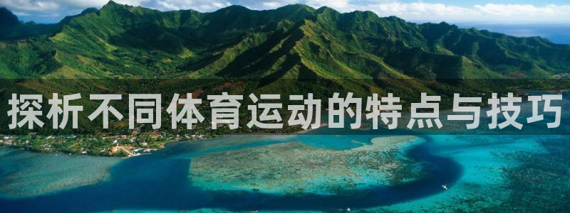 vsport体育官方正版app集团简介：探析不同体育