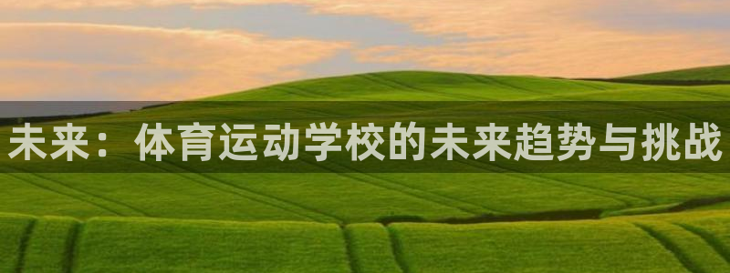 vsport体育官方正版app集团logo：未来：体