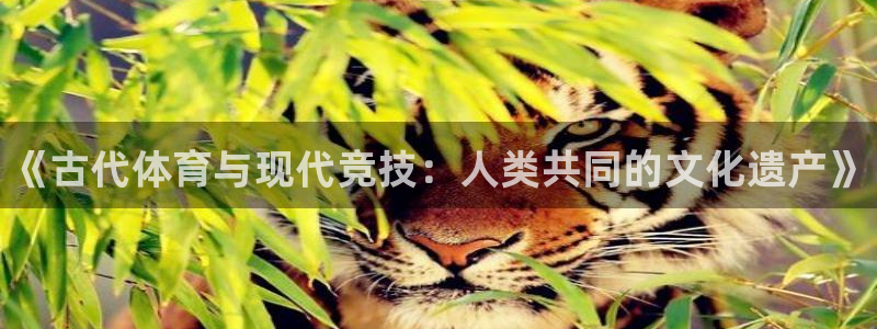 vsport体育官网下载开户：《古代体育与现代竞技：
