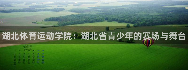 vsport体育官方正版app官网