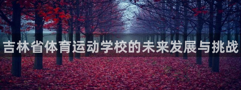 vsport体育官网下载联系电话：吉林省体育运动学校的未来发
