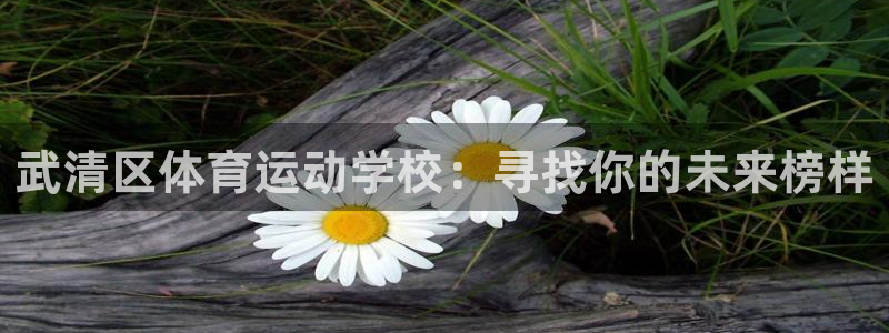 vsport体育官网下载招商电话地址查询：武清区体育运动学校