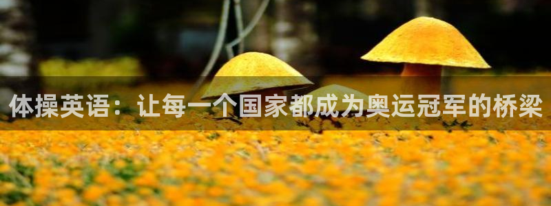 海南vsport体育官网下载发展怎么样：体操英语：让每一个国