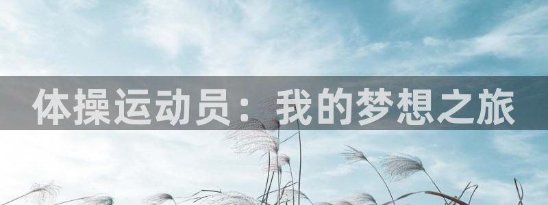 vsport体育官网下载平台注册流程视频：体操运动员