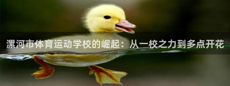 vsport体育官方正版app开户：漯河市体育运动学校的崛起