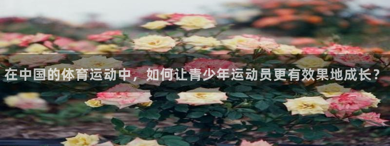 vsport体育官网下载联系电话：在中国的体育运动中，如何让