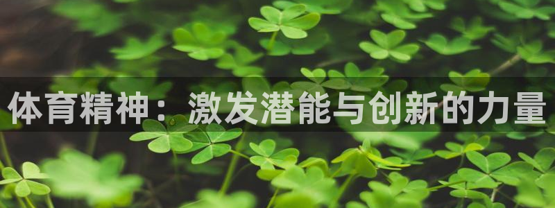 vsport体育官网下载平台是正规平台吗