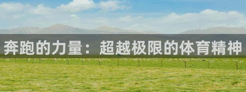 vsport体育官方正版app集团官网网址：奔跑的力