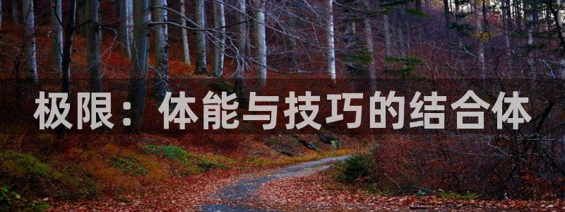vsport体育官网下载平台注册：极限：体能与技巧的