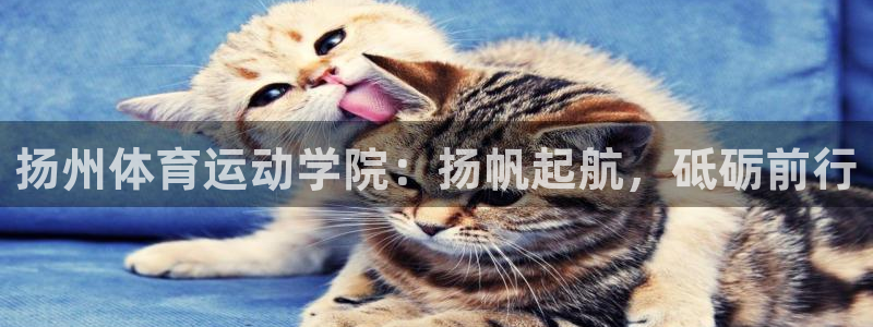 vsport体育官方正版app集团简介：扬州体育运动