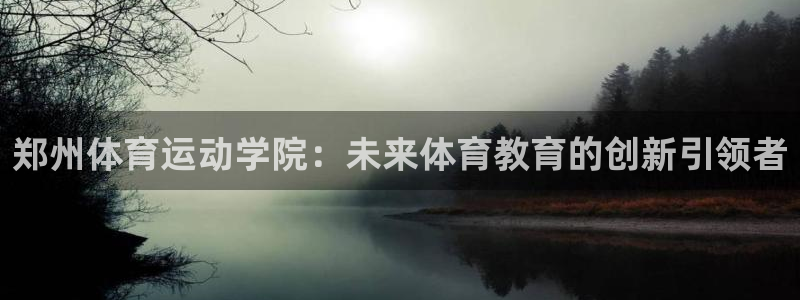 vsport体育官方正版app集团logo：郑州体育