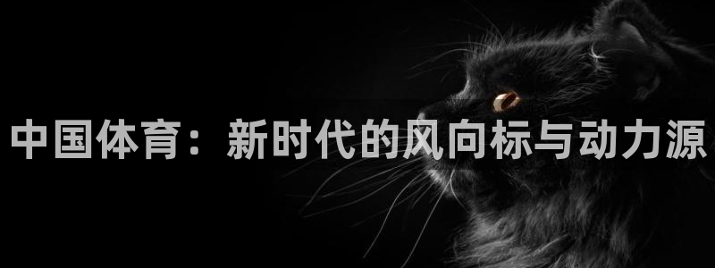 vsport体育官方正版app娱乐代理怎么样：中国体