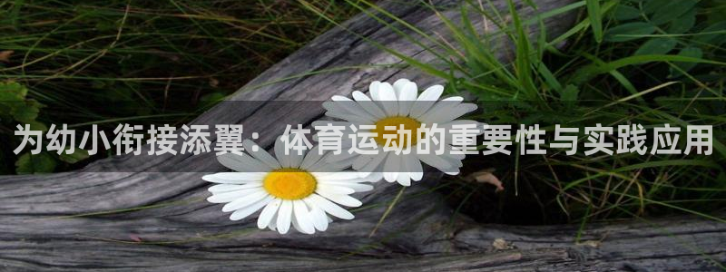 vsport体育官方正版app集团简介：为幼小衔接添