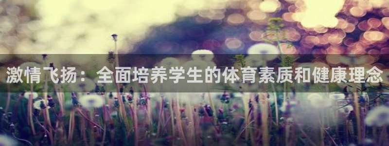 vsport体育官网下载招商电话地址：激情飞扬：全面