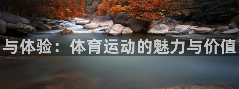 vsport体育官网下载平台注册要钱吗：与体验：体育