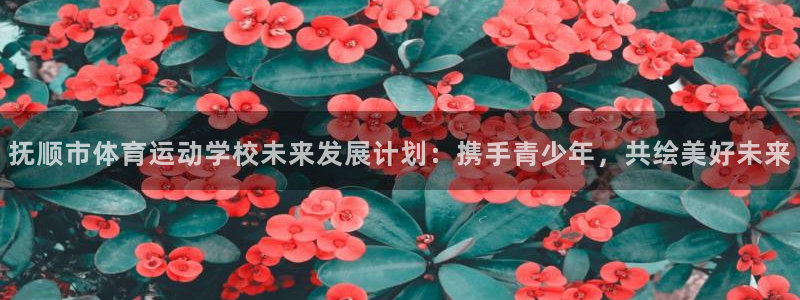 vsport体育官网下载平台是正规平台吗：抚顺市体育运动学校