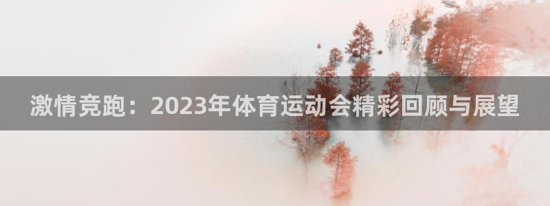 vsport体育官方正版app娱乐代理怎么样：激情竞跑：20