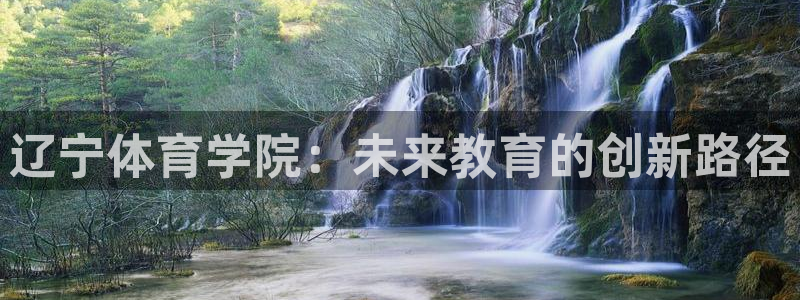 vsport体育官网下载平台APP：辽宁体育学院：未来教育的