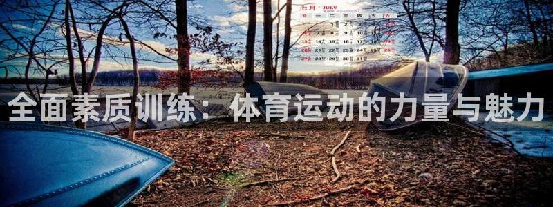 海南vsport体育官网下载：全面素质训练：体育运动