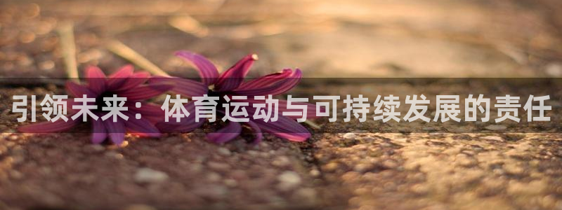 vsport体育官方平台体育：引领未来：体育运动与可持续发展