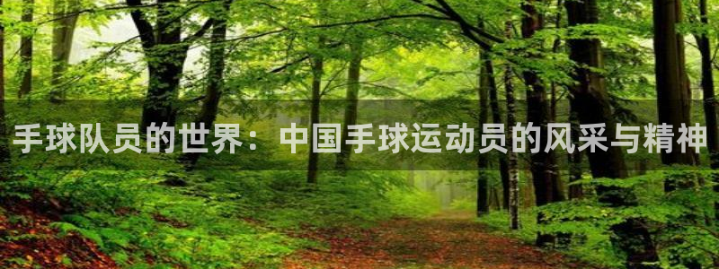 vsport体育官网下载平台假的吗是真的吗吗：手球队员的世界
