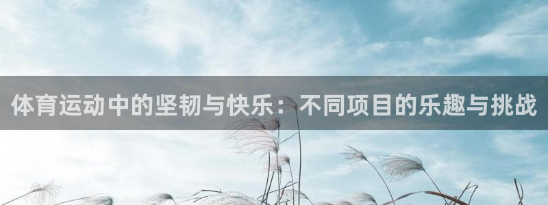 vsport体育官方正版app官网