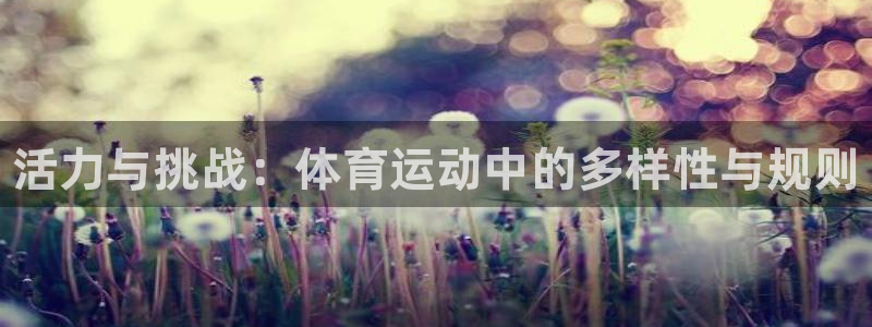 vsport体育官方正版app代理：活力与挑战：体育运动中的