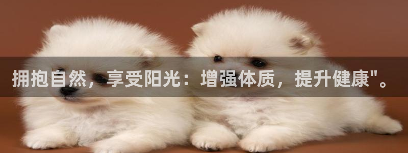 vsport体育官网下载招商电话号码