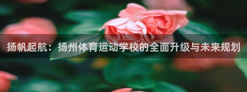 德国vsport体育官方正版app集团：扬帆起航：扬州体育运