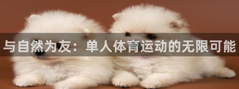 vsport体育官方正版app集团