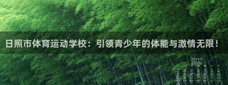 vsport体育官网下载招商电话地址是多少