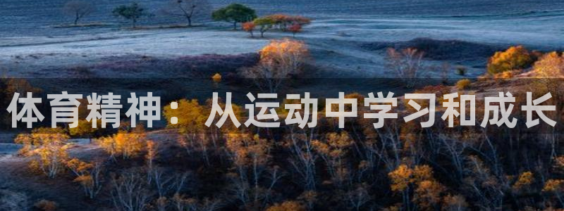 vsport体育官方正版app科技：体育精神：从运动中学习和