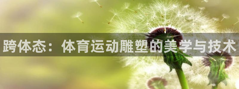 vsport体育官网下载招商电话号码：跨体态：体育运动雕塑的