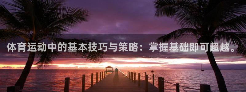 vsport体育官网下载官方客服电话：体育运动中的基本技巧与