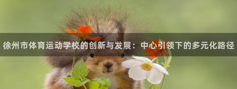 VSport体育平台-胜利因您更精彩