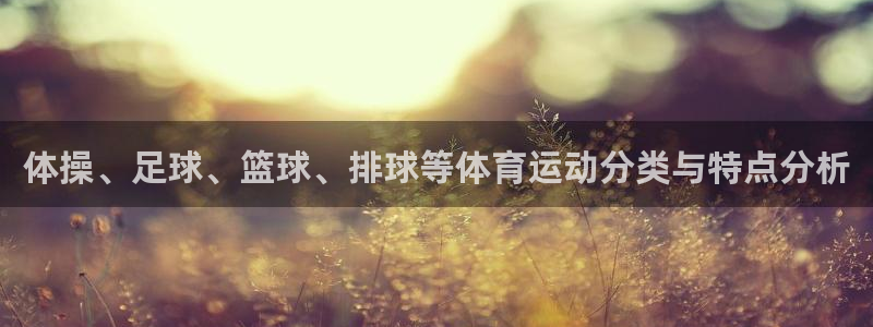 Vsport体育官方网站入口：体操、