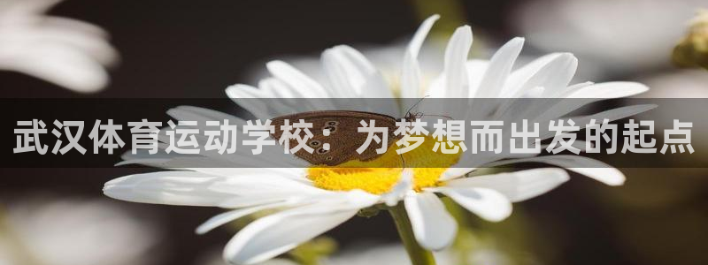 vsport体育官网：武汉体育运动学
