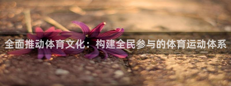 vsport体育平台app下载安装免
