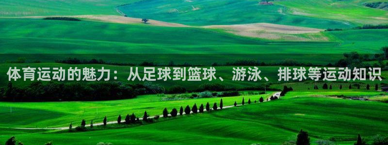 vsport体育官方正版app娱乐下载