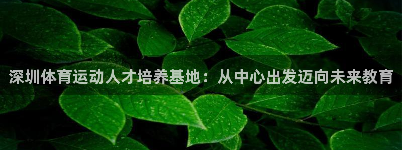 vsport体育官网下载招商电话地址：深圳体育运动人才培养基