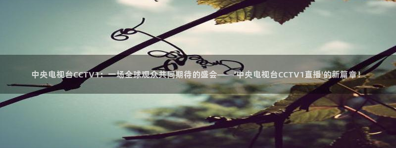 火凤直播体育免费直播：中央电视台CCTV1：一场全球观众共同期待的盛会——\'中央电视台CCTV1直播\'的新篇章！